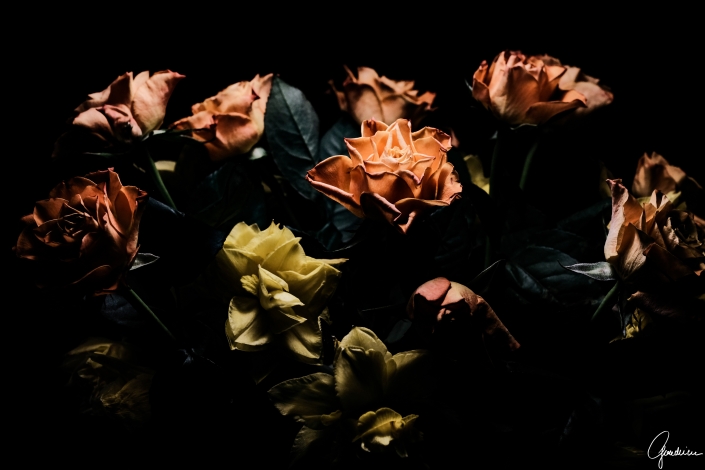 ronald goudriaan