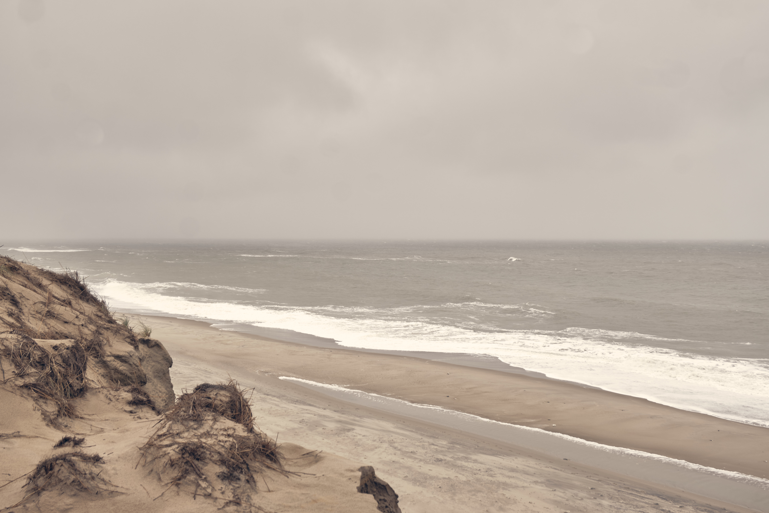Ronald Goudriaan - West Coast
